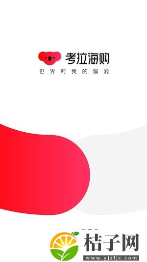 网易考拉海购app下载安装截图